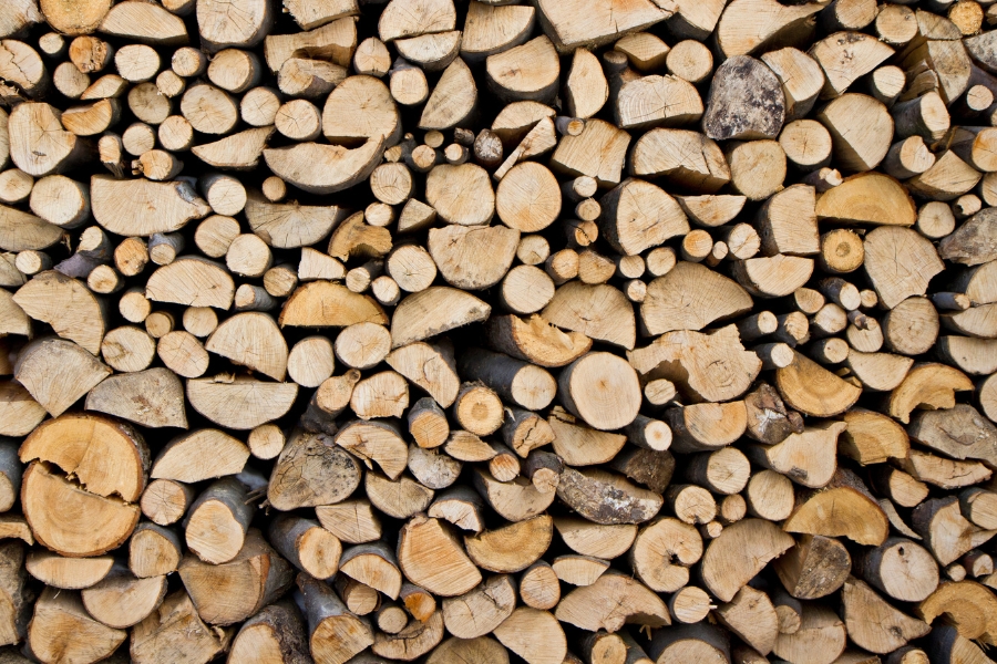 KoraGil: producent drewna konstrukcyjnego Drzewo konstrukcyjne od firmy KoraGil