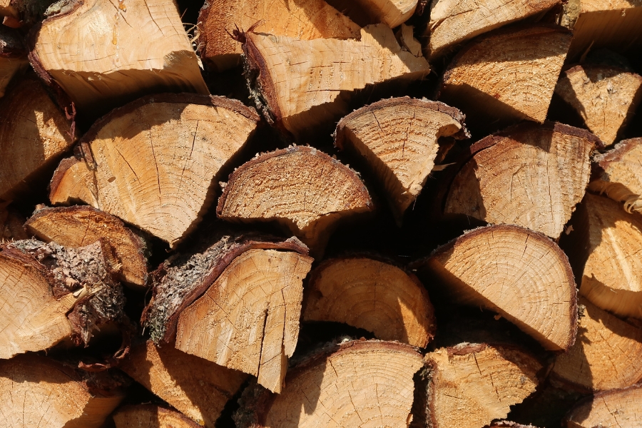 Wysokiej jakości drewno od firmy KoraGil Cechy dobrego drewna konstrukcyjnego