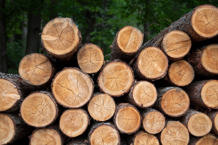 Drewno Małopolska oferta