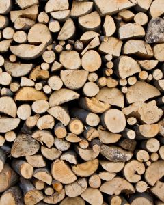 Cechy wysokiej jakości drewna